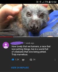 Wholesome Animal Memes Are The Definition Of Happiness 17 Memes Wholesome Memes Memes Wholesome