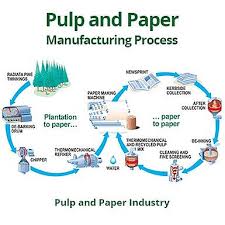 Pulp & Paper Manufacturing Process