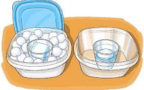 Build A Cooler Scientific American