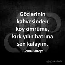Gozlerinin Kahvesinden Koy Omrume Kirk Yilin Hatrina Sen Kalayim Cemal Sureya Gozler Gozlerin Kahve Kahverengi Omur Ki Guzel Soz Ozlu Sozler Siir