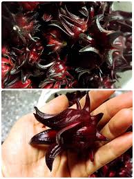 pin by 菜籃子on 菜籃子的散步路徑 food meat jerky jerky