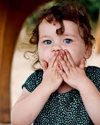 Foxtail Fern: The Pros and Cons of Planting This Variety of Fern