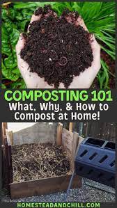 Composting 101 What Why How To Compost At Home Homestead And Chill In 2020 Composting At Home Composting 101 Compost