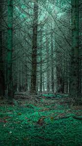 Wallpaper Nature Mysterious Forest Nature Iphone Wallpaper Forest Wallpaper 3d Nature Wallpaper