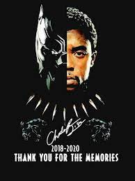 Pin On King T Challa