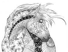 Pin On Animals Adult Colouring Zentangles