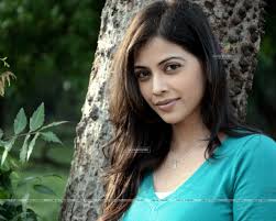 Is Revenge Everything ? ff