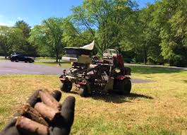 We have just put seed down on our lawn, where there were bare patches. 7 Aeration And Overseeding Mistakes You Should Avoid
