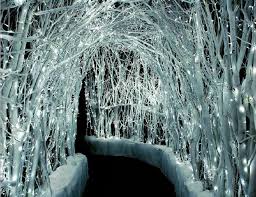 You can also hot glue or wire the snowflakes onto a wreath for a display that use white decorations inside your home. Winter White Lights Winter Wonderland Theme Wedding Themes Winter Wonderland Party Decorations