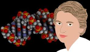 Rosalind Franklin - Biography, Facts and Pictures