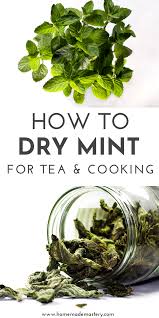 How To Dry Mint For Tea Drying Herbs Herbs Drying Mint Leaves