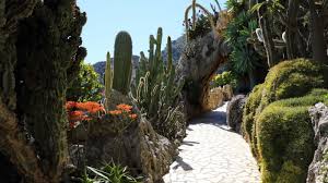 Near to the residence you will find the monaco royal palace, the port of monaco and the exotic garden.common crawl common crawl. The Garden