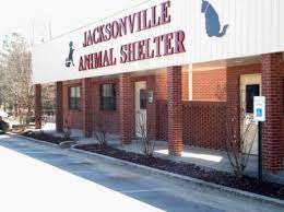 Maybe you would like to learn more about one of these? Animal Control Jacksonville Ar Official Website