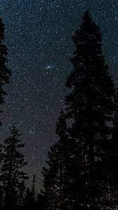 Forest Sky Night Stars Nature Fotografia Del Cielo Cielo De Noche Atardecer En La Playa