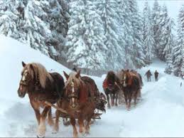 Vă mulțumesc pentru cele +500k de vizionări, aprecierile favorabile şi toate comentariile dumneavoastră !thank you for the +500k views, the likes, and all. Tudor Gheorghe Au Innebunit Salcamii