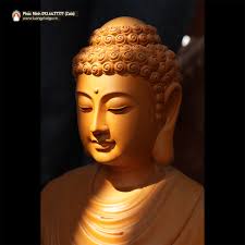 May mắn sẽ đến với bạn khi thả ❤️ bức ảnh này. 🙏🙏🙏 NAM MÔ A DI ĐÀ PHẬT  NAM MÔ BỔN SƯ THÍCH CA MÂU NI PHẬT NAM MÔ DƯỢC SƯ