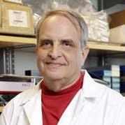 Section of Surgical Sciences