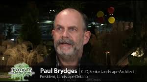 Industry Professionals Stories