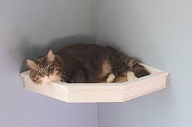 Hey I Found This Really Awesome Etsy Listing At Https Www Etsy Com Listing 477449111 Cat Wall Corner Bedshelf Floating Cat Bed Cat Wall Cat Wall Shelves