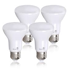 Bioluz Led Lights Br20 R20 Dimmable Led Light Bulbs 4 Pack Flood Light Bulbs Indoor Outdoor 7w 50w 500 Lumen E26 Led Bulb Replacement For Halogen Bulb 3000k Led Bulb Led Flood