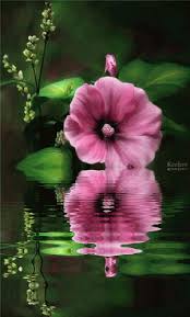 Collection by wanda riggan • last updated 11 days ago. Animated Graphics Animated Gifs Flores Water Reflection Animated Flowers Gif Water Reflections Beautiful Flowers