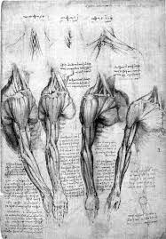 diy 002 human anatomy figure drawing eskiz anatomi referansi cizim