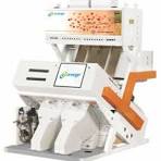 Color sorter Garlic Sorting Machine, Throughput: 0.5 To 8 Tph