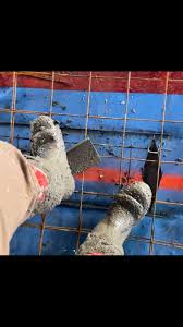 Instagram photo by Kirk Futrell • Apr 3, 2025 at 10:45 AM