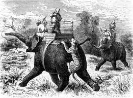 Stories of Tiger Hunting – Michael Broad