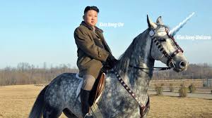 Image result for north korea weird images