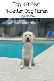 100 Short Snappy 4 Letter Dog Names Dog Names Cute Names For Dogs Funny Dog Pictures