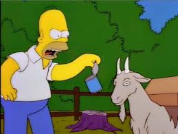 Lisa The Vegetarian S7 E5 The Simpsons Homer Simpson Drawings