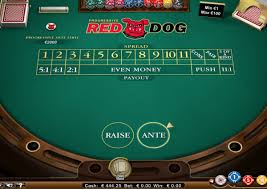 Here's a quick look at what these great online video poker is a compact version of 5 card draw poker. Casino Card Games List Play Casino Card Games Online