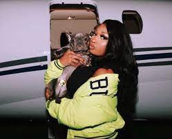 Megan thee stallion leaves bloody footprints from gunshot wounds in her feet as she exists a vehicle that was pulled over by the lapd. Megan Thee Stallion Has A French Bulldog Called 40e Megan Thee Stallion 35 Facts Popbuzz