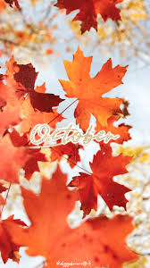 Choose from hundreds of free phone wallpapers. 40 Free Amazing Fall Wallpaper Backgrounds For Iphone