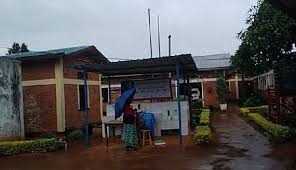 Image result for Blepharis burundiensis