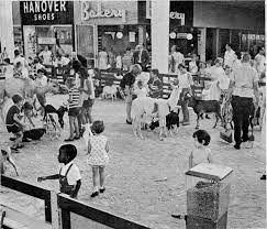 Moorestown Mall Petting Zoo 1966 Zoo Animals The Past Small House