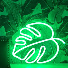 Monstera Leaf In 2020 Green Aesthetic Tumblr Green Aesthetic Dark Green Aesthetic