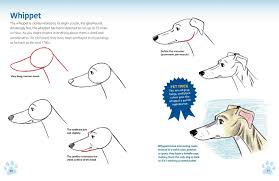 Drawing is a great hobby. How To Draw Dogs Cats From Simple Templates The Drawing Book For Pet Lovers Hart Christopher Hart Christopher 9781640210318 Amazon Com Books
