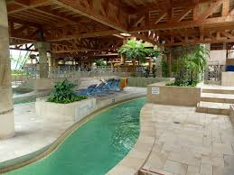 Tuberides Maya Mare Halle Saale