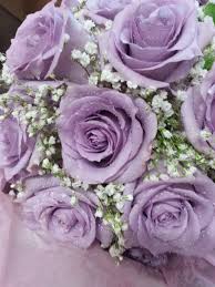 Maybe you would like to learn more about one of these? Purple Rose Bridal Bouquet With Baby S Breath Graceland Florist Flower Bouquet Wedding Small Bridal Bouquets Rose Bridal Bouquet