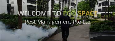 The post how much does ant control cost in singapore? Cheap And Good Pest Control Singapore My Friends Intro