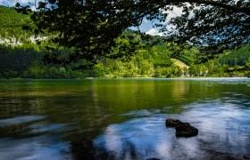 Die ruhe in den wäldern, das glitzern der sonnenstrahlen in den wasserwellen, das schnattern der enten und der ruf der vögel, das ist natur pur. Wanderwege In Lunz Am See