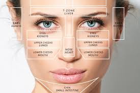 Zits On Face Map Get Rid Of Wiring Diagram Problem