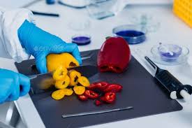 Quality Control Food Safety Inspector Working With Vegetables In By Microgen Quality Control Food Safety Ins Food Safety Vegetable Packaging Baby Food Recipes