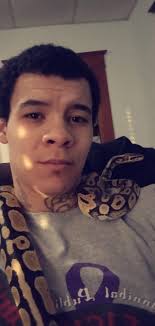 I iz no ball, I iz tree python.. I shall eat like dis..