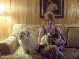 A breed of toy dog thought to originate in northern europe, with a thick, wavy coat presented with the hindquarters and upper legs clipped so that the dog resembles a male lion in outline; Lowchen Dog Breed Pictures 1