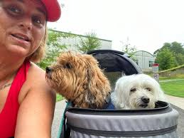 Marshmellow Baby's Legacy Page shared a memory.