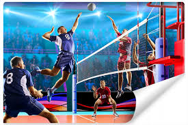 Aug 19, 2021 · tvp sport w swojej ofercie ma coraz więcej praw transmisyjnych. Fototapeta Mecz Siatkowki Siatkarze Dekor 315x210 10114101638 Allegro Pl