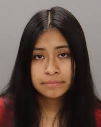 Tanner Wayne Campbell Arrested for Domestic Assault in Knox County